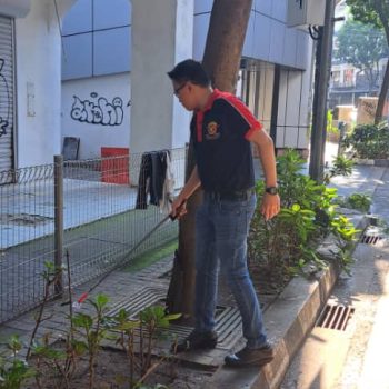 461612585_831954159091209_3008585775948124038_n